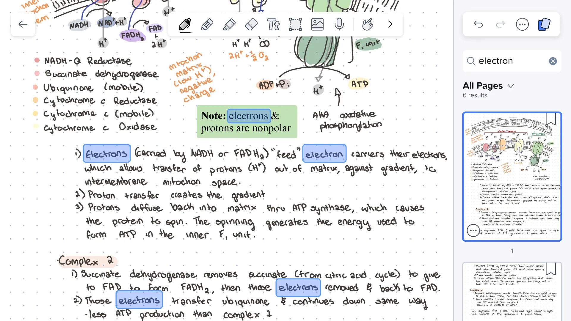 Notability app interface